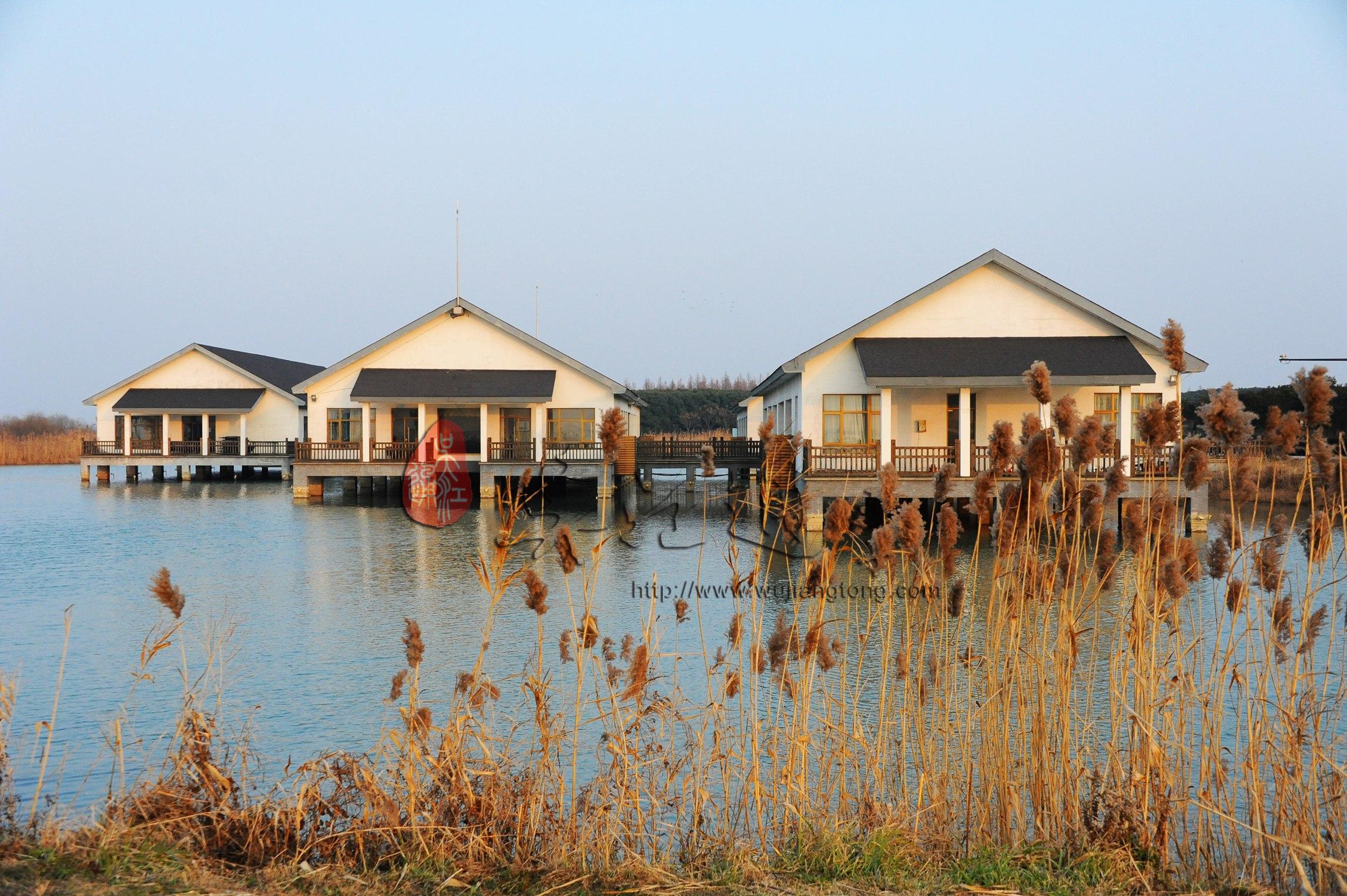 肖甸湖湿地8