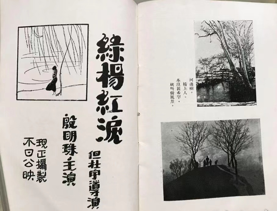 《绿杨红泪》的宣传.jpg